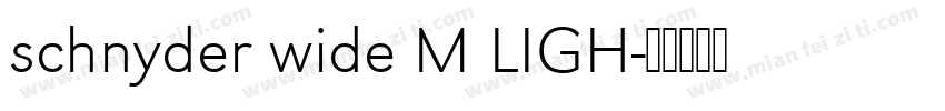 schnyder wide M LIGH字体转换